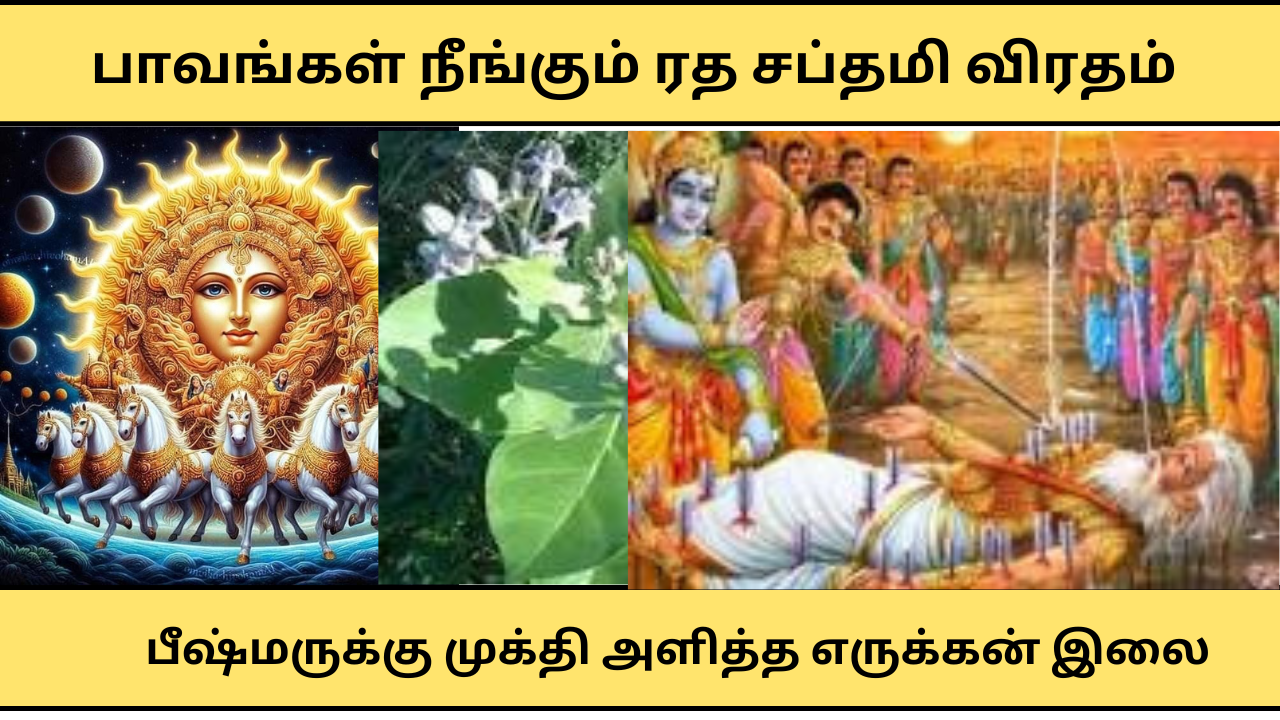  பாவங்களைப் போக்கும் ரத சப்தமி விரதம் - சூரியனார் வழிபாடு - Ratha Saptami Worship 