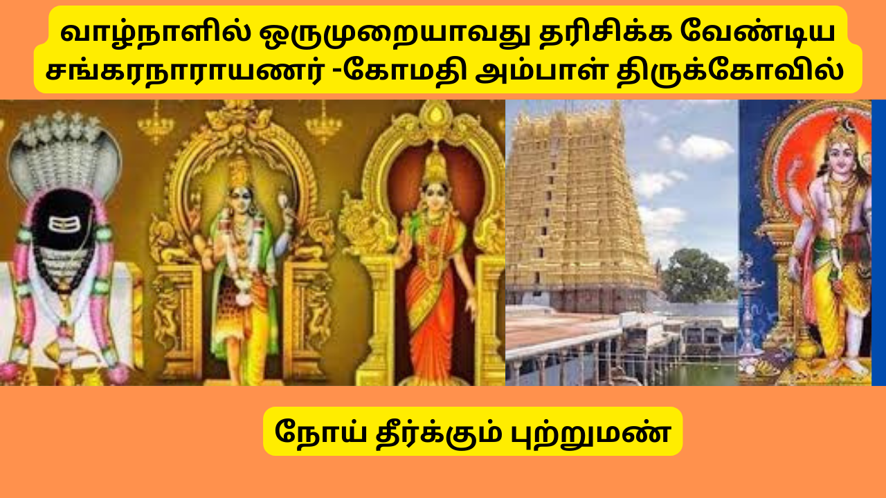  வாழ்நாளில் ஒருமுறையாவது தரிசிக்க வேண்டிய திருத்தலம் சங்கரன்கோவில் சங்கரநாராயணர்- கோமதி அம்பாள் திருக்கோவில் - A Temple site that must be visited at least once in a lifetime
