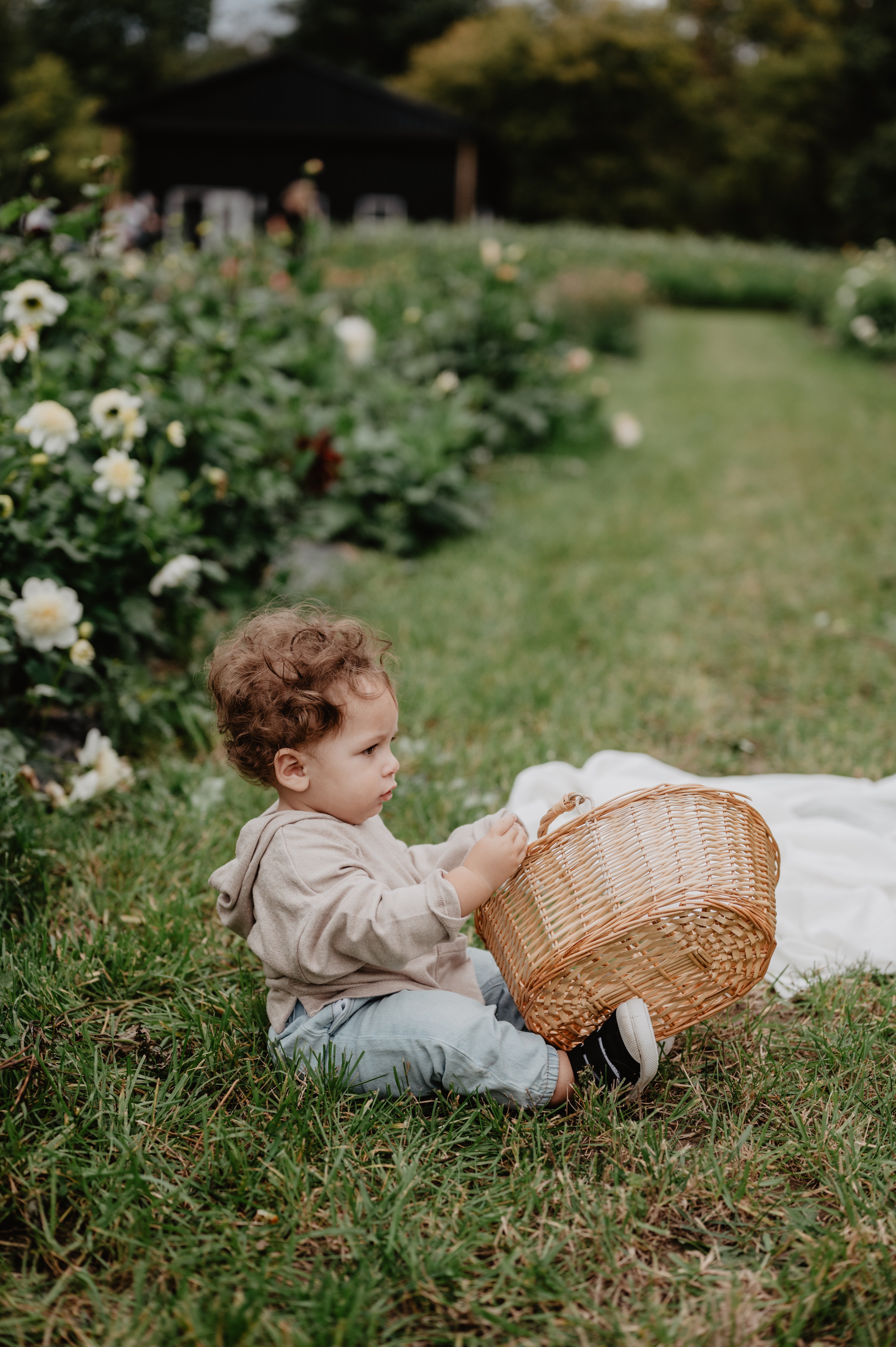  The Journey of Growth and weight gain in Babies